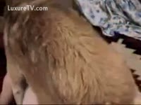 [ Zoo XXX ] Doggy hit the right spot